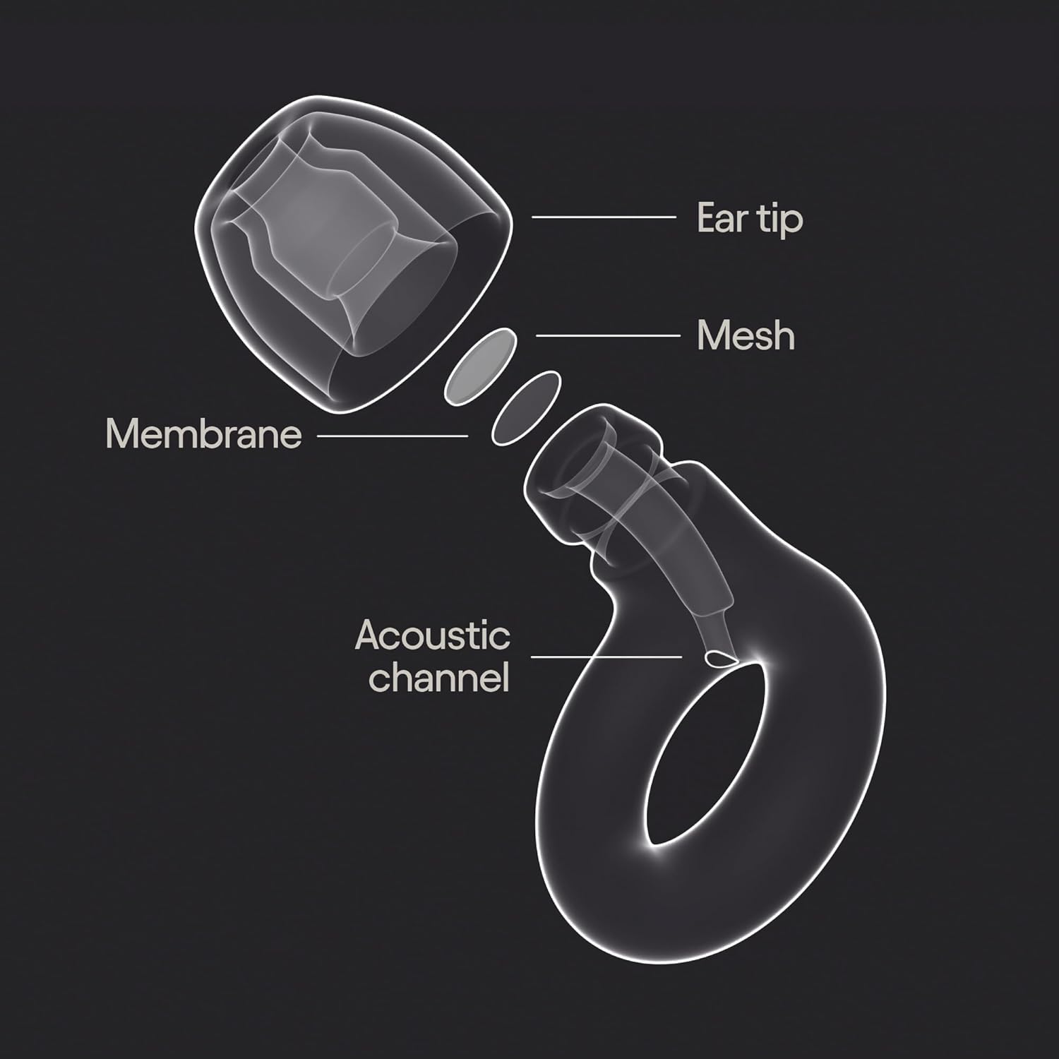 Loop Experience 2 Ear Plugs – Stylish Certified Hearing Protection for Concerts & Festivals, Live Events, Musicians, Sports, DJs and Nightlife – 17dB Noise Reduction Earplugs (High-Fidelity) - Image 6